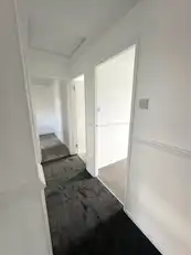 47 Deramore DriveImage 6