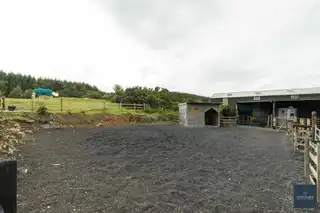 25B Magheralone RoadImage 38