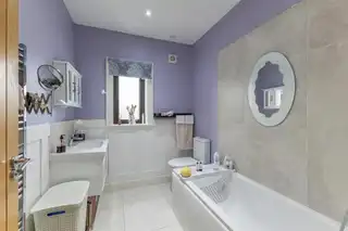 1 Mount EdenImage 11