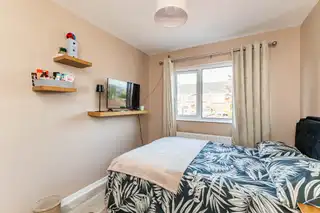 11 Dermott GreenImage 16