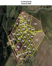 228 ScribbaghImage 2