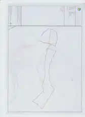 40 DevenishImage 9