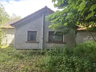 40 DevenishImage 2