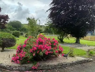 TobernahooryImage 4