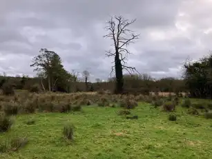 40 Cloncorick RoadImage 21