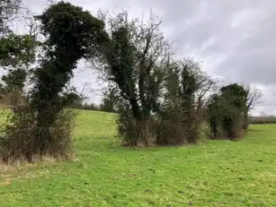 40 Cloncorick RoadImage 17