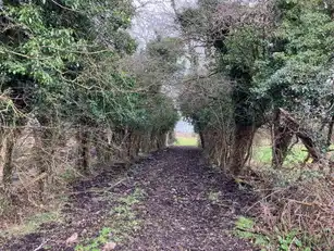 40 Cloncorick RoadImage 16