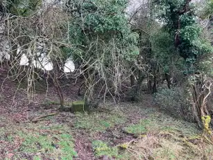 40 Cloncorick RoadImage 14