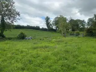 Backnamullagh RoadImage 11