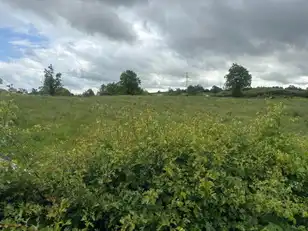 Backnamullagh RoadImage 5