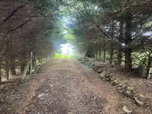 Backnamullagh RoadImage 3
