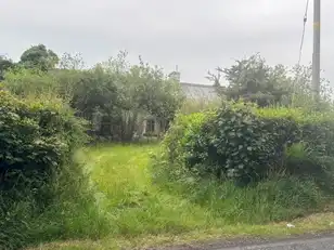 71 Lurgan RoadImage 8