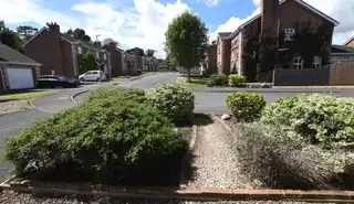 24 MurraywoodImage 18
