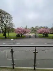 4 ParkviewImage 2