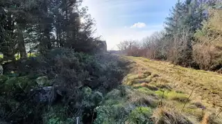 Lower DoreImage 4