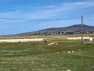 MagheragallonImage 10