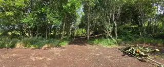 Altnaveragh RoadImage 15