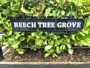 18 Beech Tree GroveImage 2