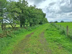 Approx. 30M East Of 45 Friary RoadImage 2