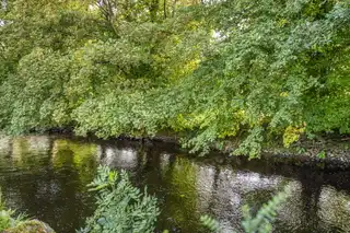 8 Knockan TerraceImage 24