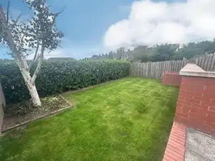 60 The GreenImage 13