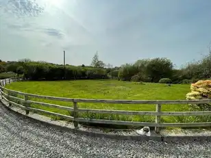 MoneydarraghImage 20