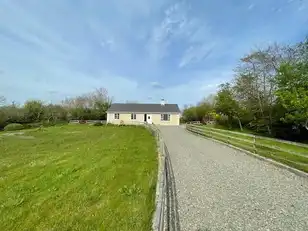 MoneydarraghImage 4