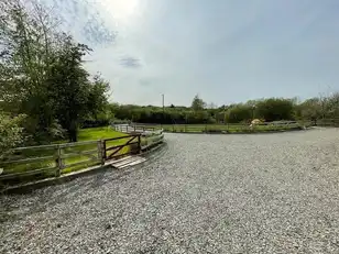MoneydarraghImage 21
