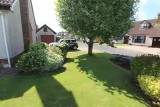 17 OldwoodImage 27
