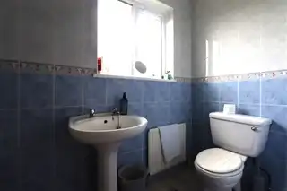 4 The BeechesImage 10
