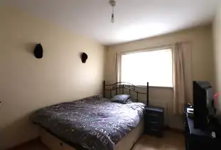 4 The BeechesImage 6