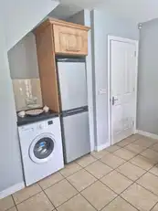 PinetreesImage 4