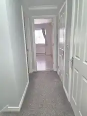 PinetreesImage 5
