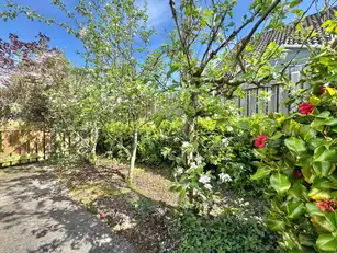 5 Gleannan CloseImage 22
