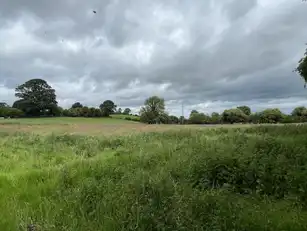 35 Draperstown RoadImage 29