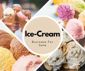 Image 1 for Ice Cream Franchise Business For Sale