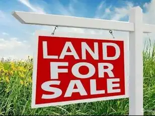 Land for sale Sign.jpg