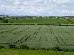 12 Ballygalget RoadImage 6