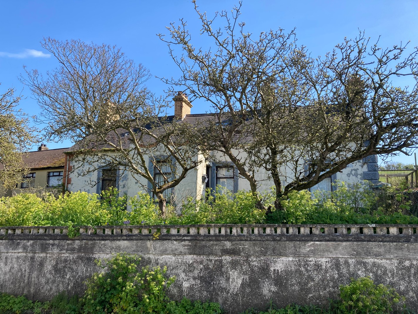 Properties for Sale in Portaferry