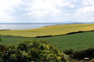 51A Portaferry RoadImage 32