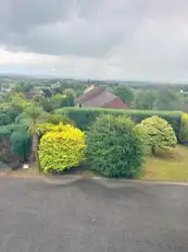 9 ViewfortImage 45
