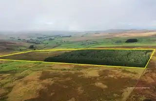 Image 1 for Forestry Land On Mullaghsandall Road