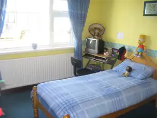BallinamintraImage 3