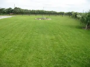 BallinamintraImage 7
