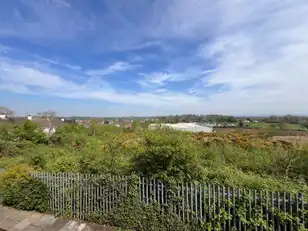 43 Killowen DriveImage 19
