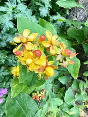 26 Rossdowney GardensImage 22