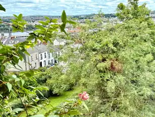 10 Deburgh TerraceImage 45