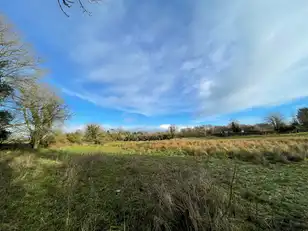 Land At Downpatrick RoadImage 6