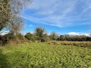 Land At Downpatrick RoadImage 8