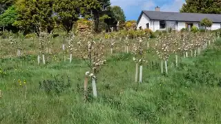78A Adj To78A Ballyculter RoadImage 5